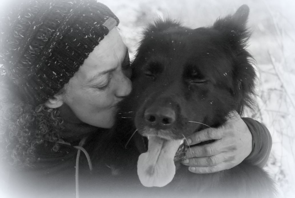 rescue dogs, adopt a dog, edinburgh and west lothian, pentlands dog training