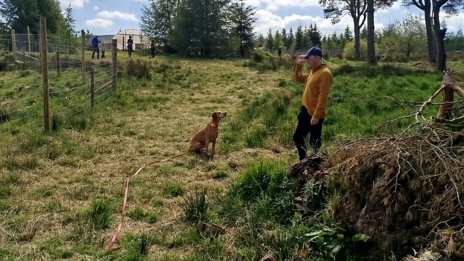 pentlands dog training west lothian edinburgh 1 to 1 puppy reactive dog