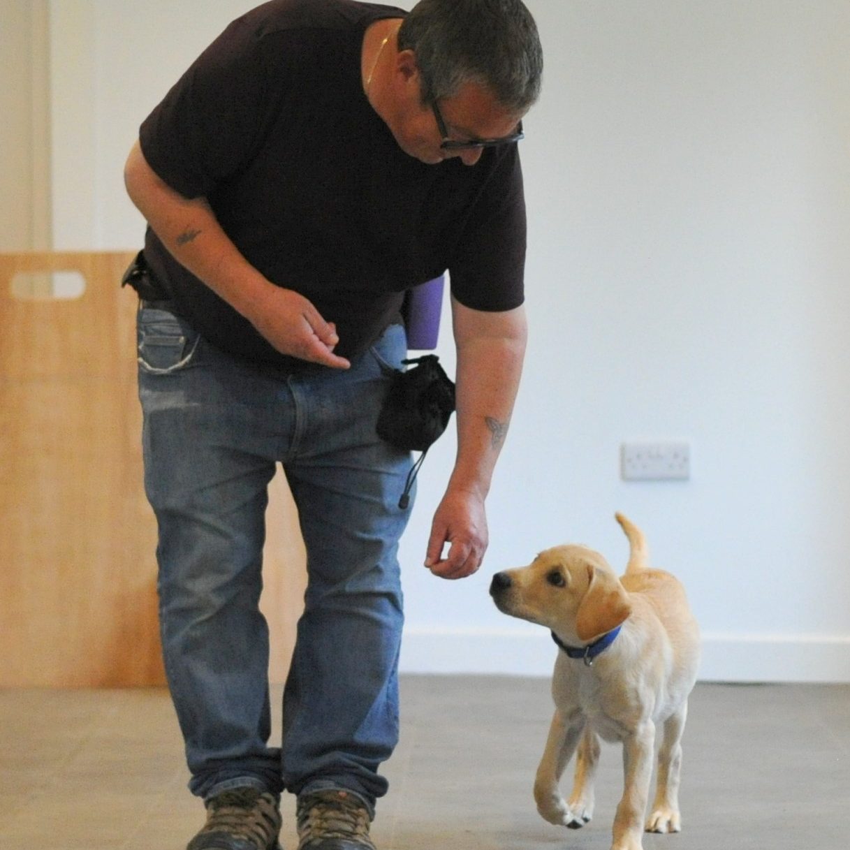 puppy zak n mark portrait