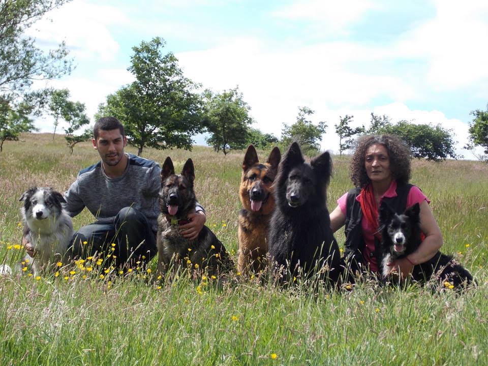 Pentlands dog training, about me, working dogs, puppy training, reactive dog help in west lothian and edinburgh